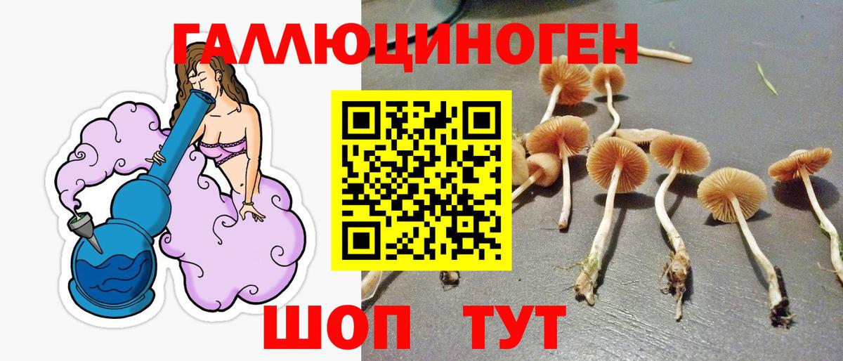 Галлюциногенные грибы Psilocybe Советский