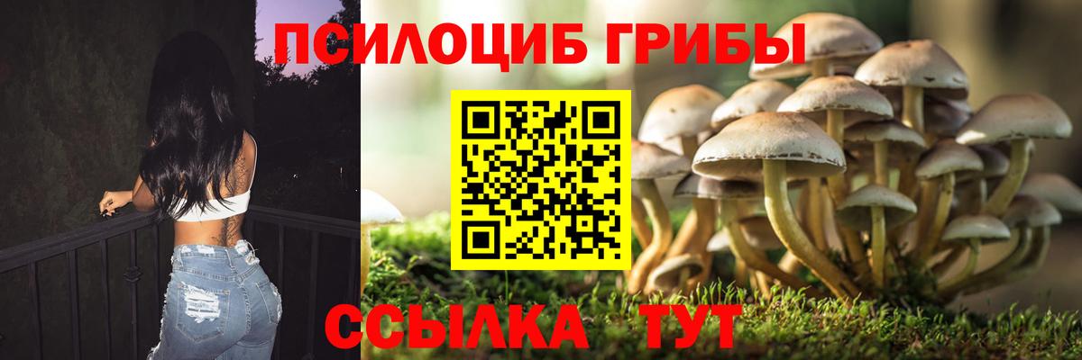 Галлюциногенные грибы мухоморы  Вход с VPN  наркошоп  Советский 
